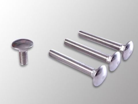 點擊查看詳細信息<br>標題：Carriage Bolt 閱讀次數(shù)：985