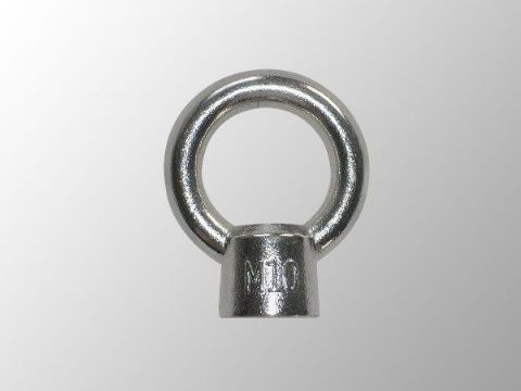 點(diǎn)擊查看詳細(xì)信息<br>標(biāo)題：Eye Bolt 閱讀次數(shù)：1318